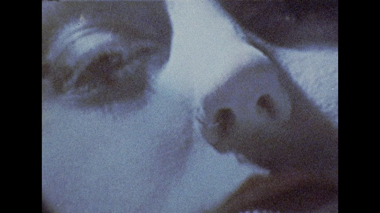 REMEMBER NOTHING - YouTube