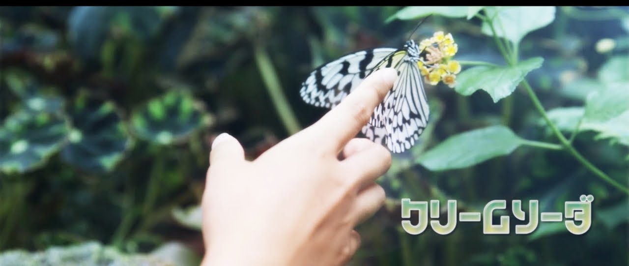 クリームソーダ