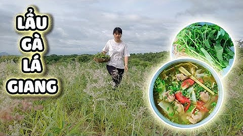Lẩu Gà Lá Giang - Bữa Tối Cùng Gia Đình | Chicken hot pot with leaves