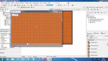 Tutorial: UsingDesignCamera in FireMonkey XE5 (Delphi XE5) on Win, iOS and Android