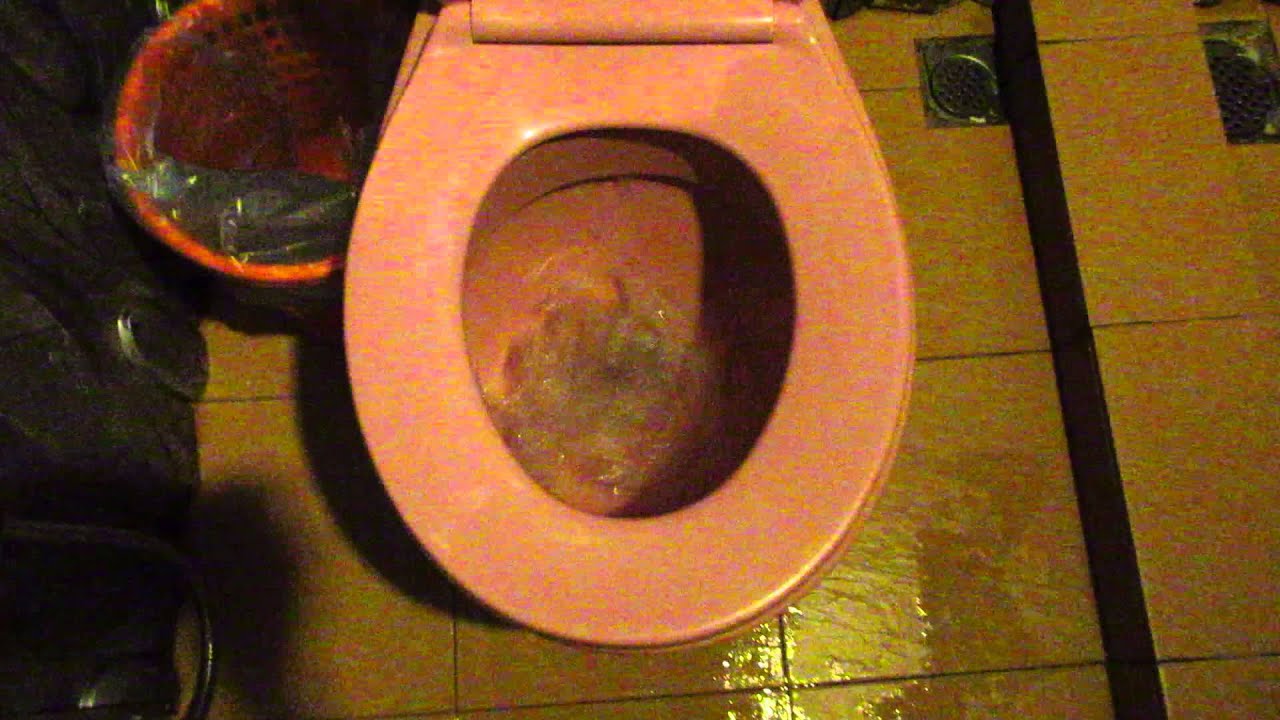 Pink 2006 Close Coupled Karat toilet YouTube