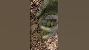 Short #93 - Mystery Button found metal detecting with the Nokta Makro Simplex.  #metaldetecting