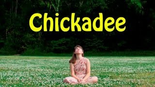 Video thumbnail of "Chickadee - Emily Summers"