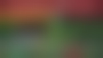 BEGINNER STRATEGIES FOR DAILY TRADING PROFITS - SPY Option Strategies and Profitable Setups.