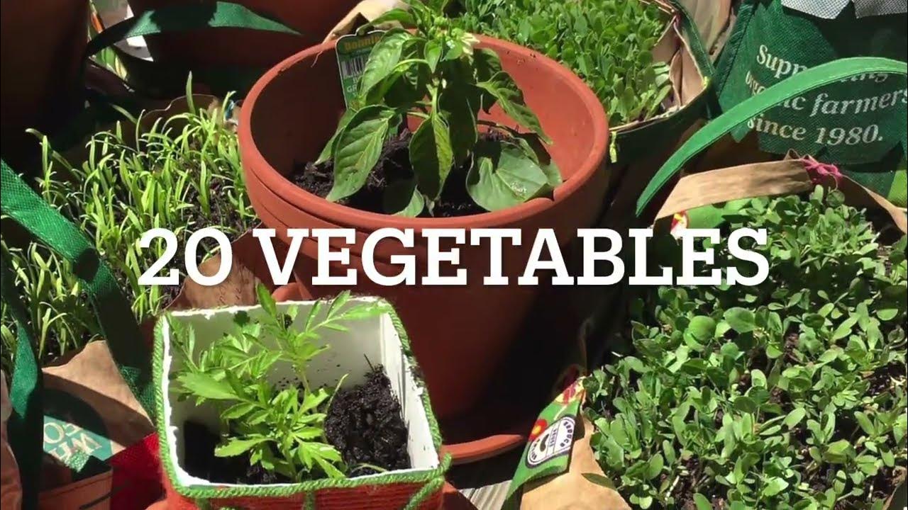 20 Vegetables you can start growing. USA Vegetable gardening Start gardening Harvest for 6