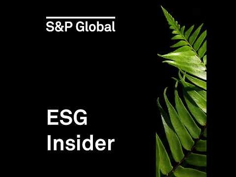 S P Global 2024 Report