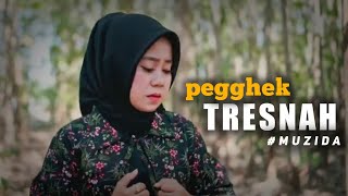 PEGGEK TRESNAH // vocal MUZIDA || Karya MALVIN RAMANDA