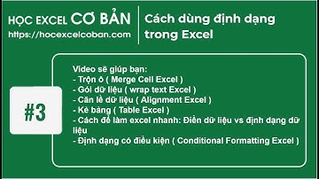 Học Excel cơ bản | #3 Cách dùng định dạng trong Excel