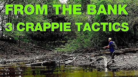 Crappie from the Bank - 3 Proven Tactics