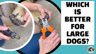 Nail Clipper vs Dremel for Large [Black] Dog Nails? PRO's, CON's & How to Avoid Hitting the QUICK!