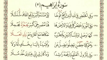 متن الشاطبية - سورة إبراهيم |حفصة جمال|