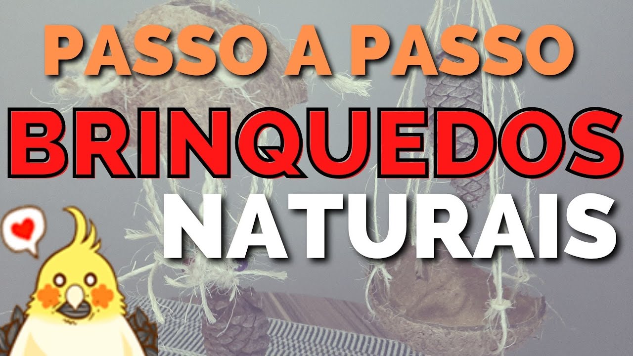 2 BRINQUEDOS naturais, eles vão amar! (Pinha, coco e sisal)