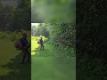 The Ultimate Mosquito Blaster