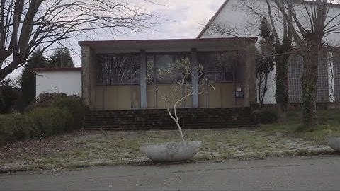 Carlos Cipa & Occupanther - Branches (Official Video)