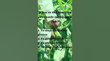 Biology #shorts #neet