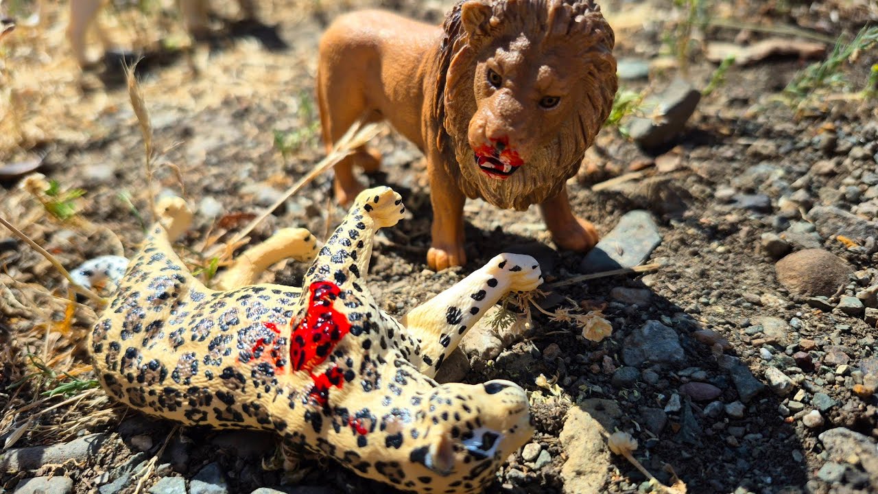 The White Lion ~EP16~ Toy Lion Movie