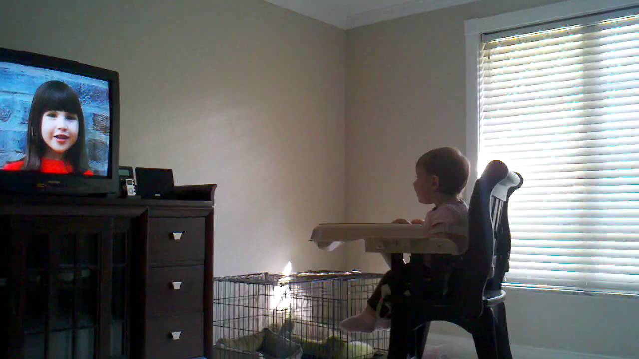 Loves the opening song for Your Baby Can Read YouTube