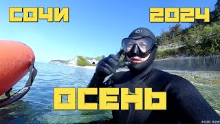 видео: Подводная охота осень 2024 картинка: Подводная охота осень 2024