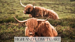 Highland Cow TV Art | Farmhouse Spring TV Screensaver | 2Hr 4K HD Aesthetic Neutral TV Art