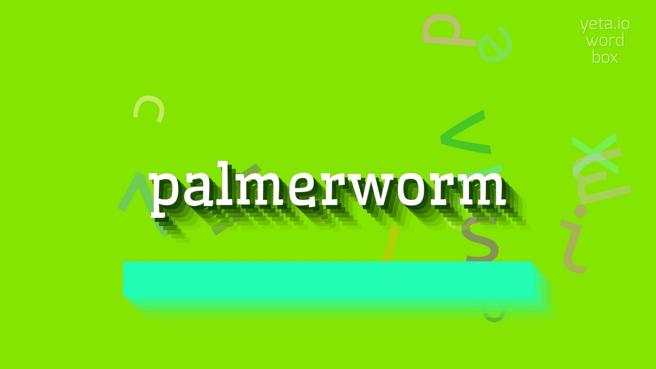 How to say "palmerworm"! (High Quality Voices)