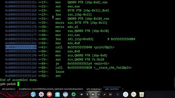 Programmazione in C - #8 Puntatori e dereferencing operator