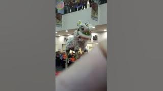 barongsai kalbar indonesia bertanding di malaysia