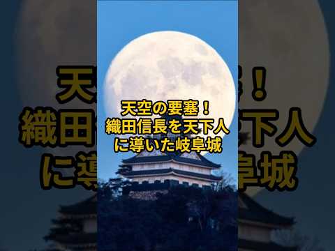 【お城・観光・グルメ】岐阜県：岐阜城の紹介#旅行 #お城 #観光 #グルメ