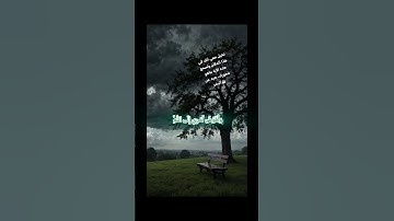 فَسَتَذْكُرُونَ مَا أَقُولُ لَكُمْ وَأُفَوِّضُ أَمْرِي إِلَى اللَّهِ|سورة غافر|🤍