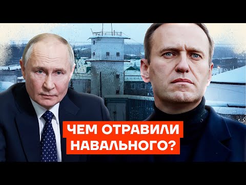 YouTube видео