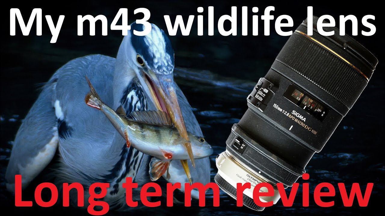 Sigma 150mm f/2.8 macro for wildlife