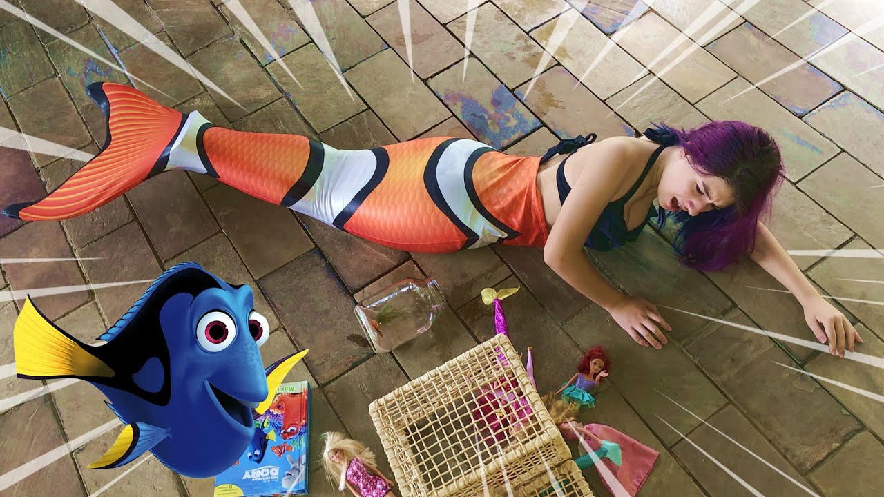 PROCURANDO NEMO 4 EM ACIDENTE NA MUDANÇA VIREI SEREIA - Marina Bombonato