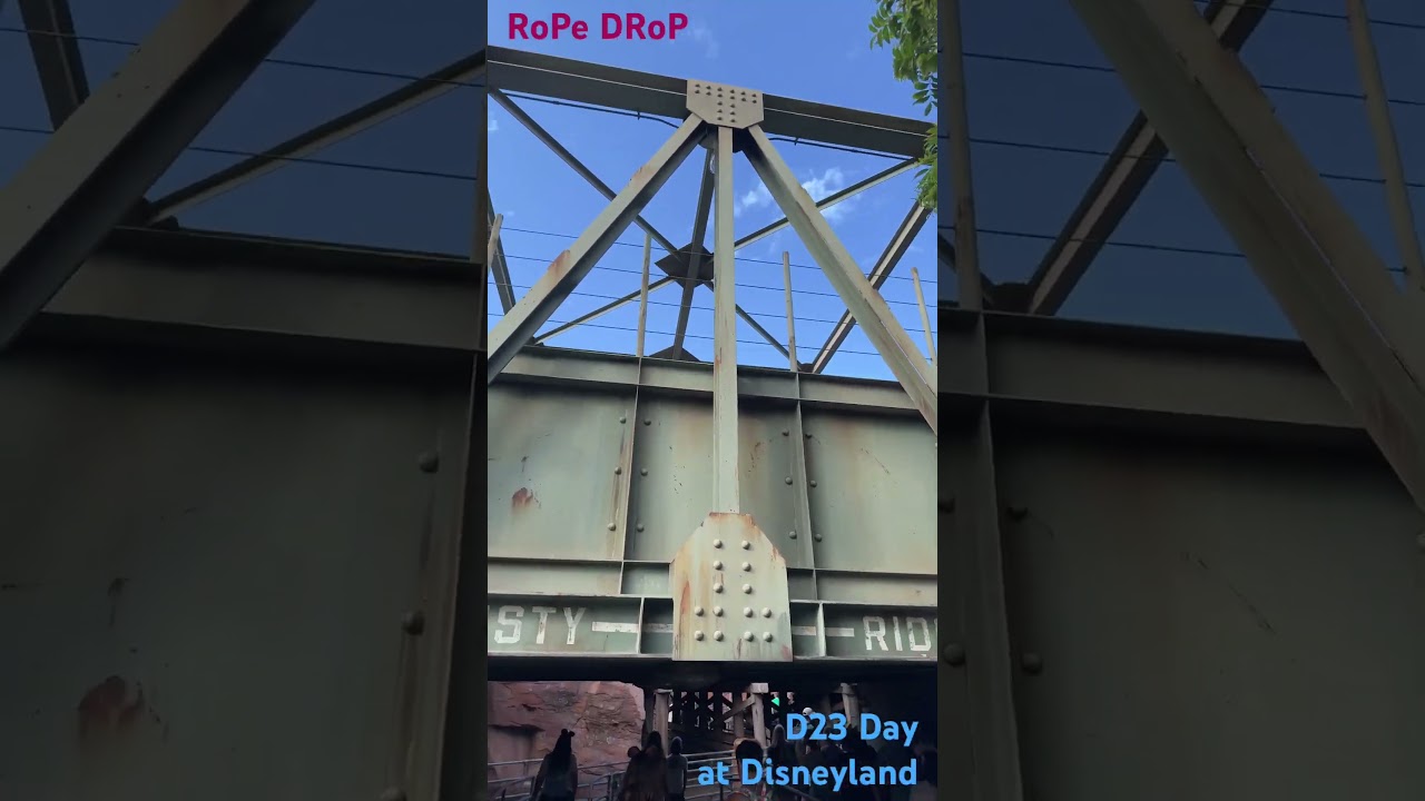 Der Kalifornien Park ist heute in der Hand vom D23 Disney Fan Club. Rope drop für CARSLAND  #d23expo
