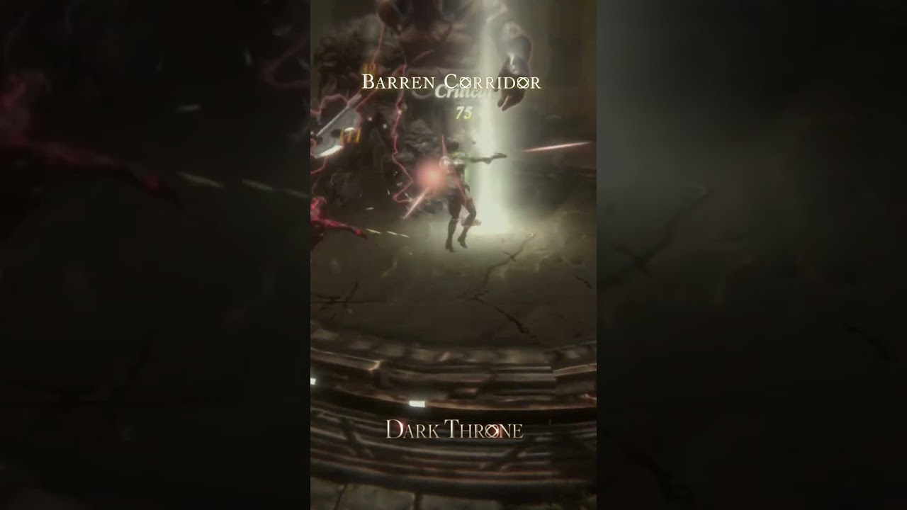 Dark Throne Demon Hunter BARREN CORRIDOR Map Boss Scene highlights.