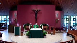 Friday of the 14th Week in Ordinary Time: 7/10/26