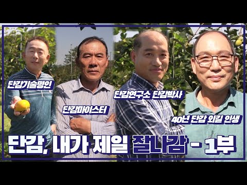 <strong>단감</strong>, 세계에서 제일 잘 나가는 이유는❓ 1부ㅣ비닐회담 21화(KBS 2021.10.26 화 방송)