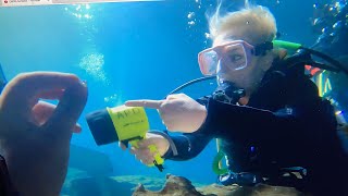 Turtleboi And Mom Experience In Florida’s Devils Den!