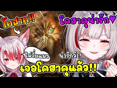 ดีจัง ได้เจอกับโคฮาคุในฮอกวอตส์แล้ว แถมยังชมว่าน่ารักใหญ่เลย ! [ Vtuber ซับไทย ]