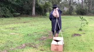 Django 1966-Cosplay Tribute(Intro Recreated)