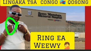 LINGAKA TSA CONGO LI BOLAEA BOSATHO KE BOTAOA