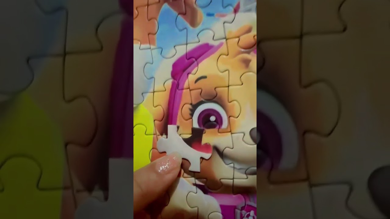 Amazing paw patrol challenge chase