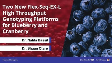 Two New Flex-Seq-EX-L High Throughput Genotyping Platforms for Blueberry and Cranberry