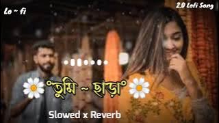 Tumi Chara (Lyrics) | তুমি ছাড়া | Slowed And Reverb | Bangla Lofi Song | Viral Song | 2.0 Lofi Song