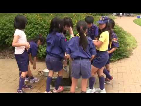 ボーイスカウトって どんなことするの？【年間の活動内容紹介】