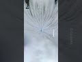 These Flames Could Decide Starship’s Future #spacex #starship #spacexlaunch #flamedetector #flight10