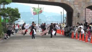 20120729MRP28「吉祥桜樹」