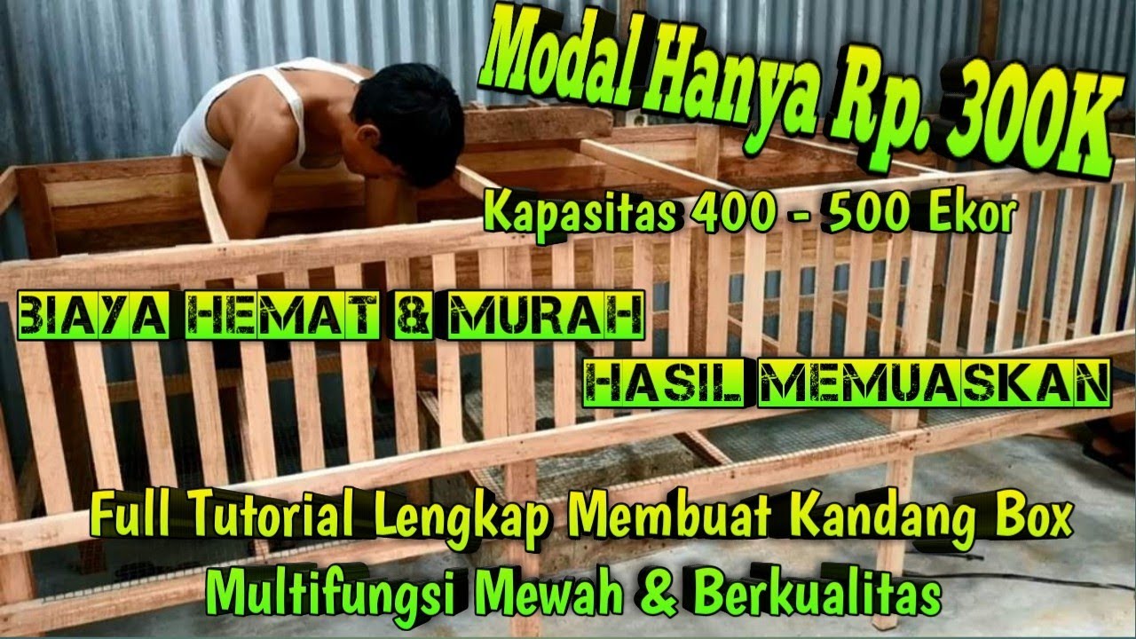 Kandang Ayam Bagus, Murah, Rapi & Berkualitas || Cara Buatnya Begini...