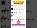 Odia gk shorts || Sadharan gyan short || Odia quiz shorts || Odia general knowledge #gkfacts #shorts