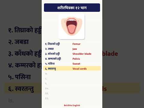 शरीरभित्रका १२ भाग