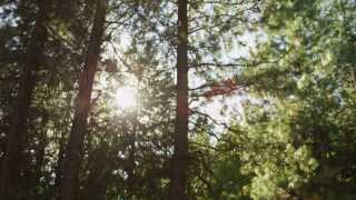 2014 Left Coast Digital Production Reel