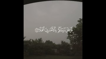 تلاوة خاشعة للشيخ عبدالعزيز الزهراني 🌺🌹